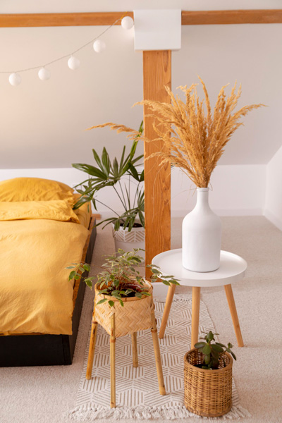home-staging-nord-pas-de-calais home staging nord pas de calais