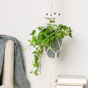 63adf1dd777ea845100216